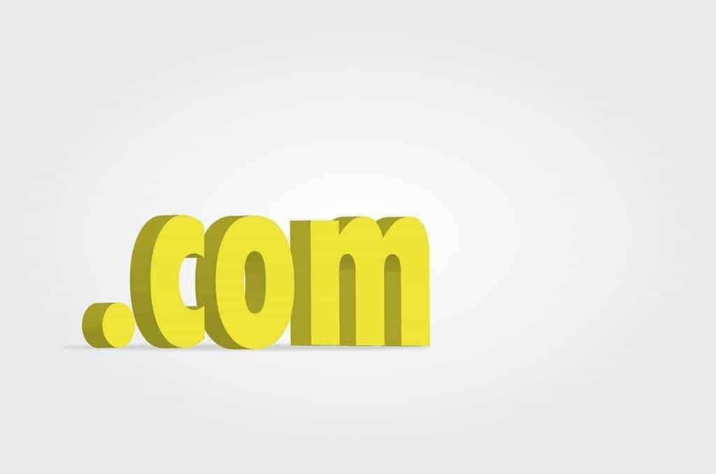choosing the right domain website