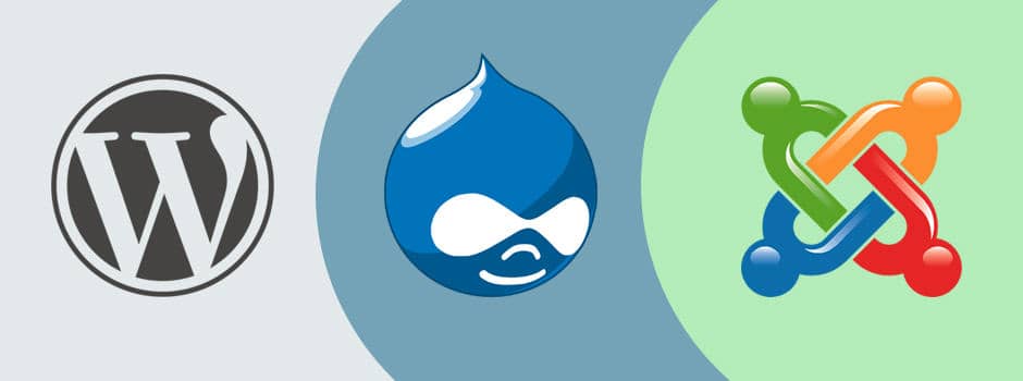 cms website for web design and development