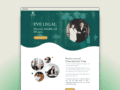 Eve Legal Website Design Malaysia