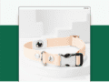 Pet October Photofolio