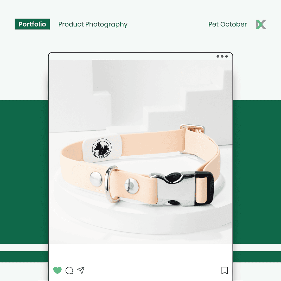 Pet October Photofolio